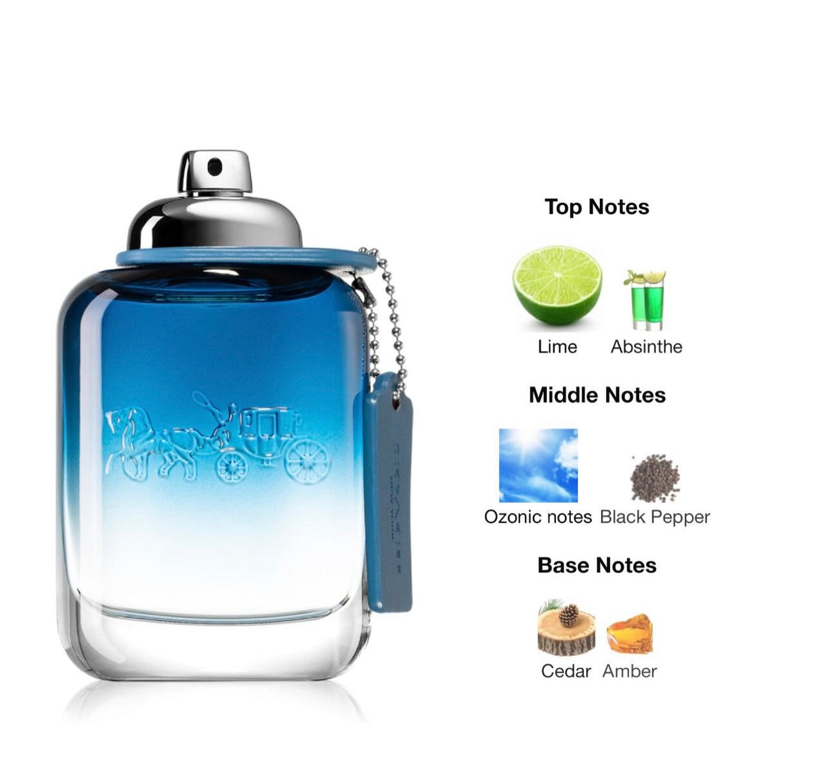 Coach Blue New York Eau de Toilette 3.3 oz