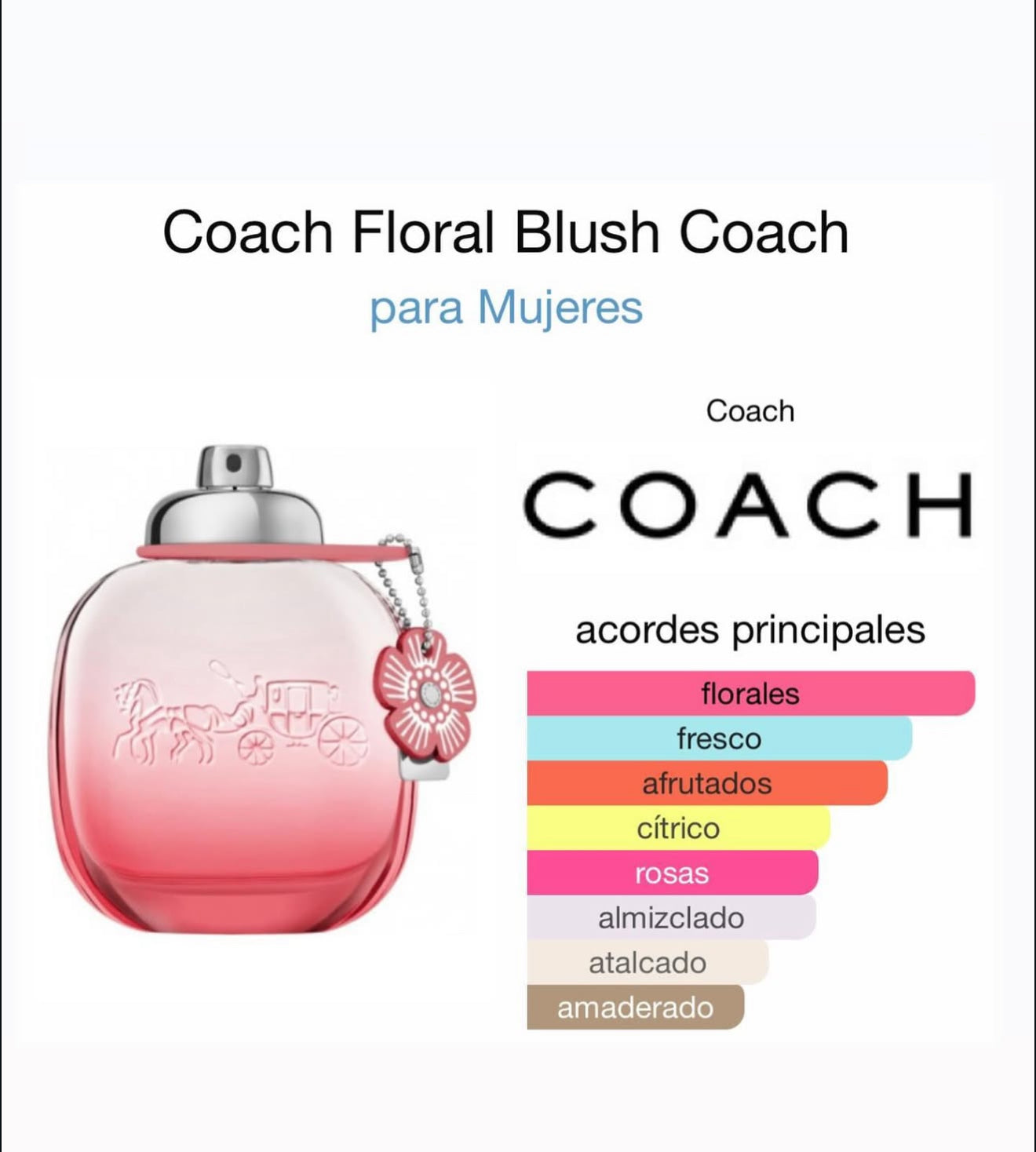 Coach Floral Blush – 3.0 oz / 90 ml Eau de Parfum