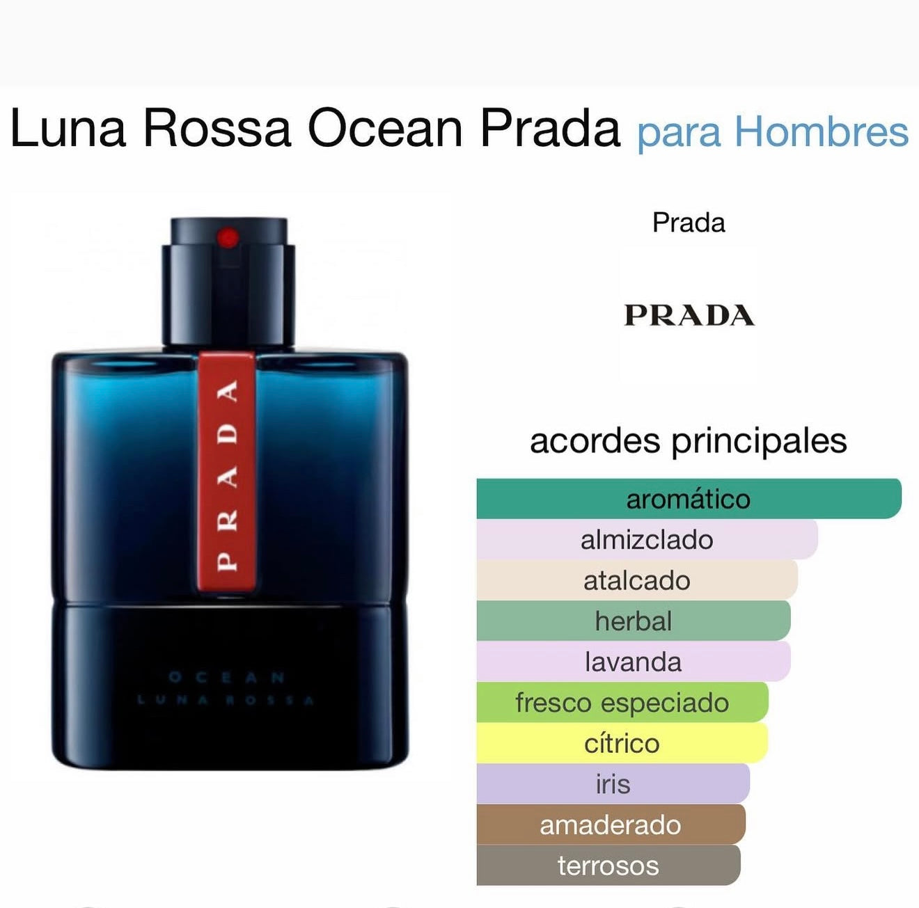 Prada Luna Rossa Ocean