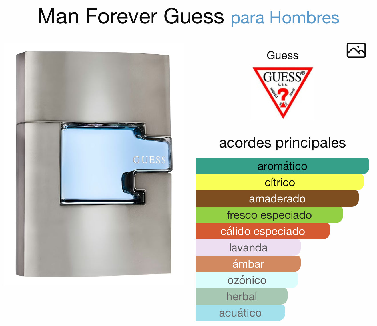 Guess Man Forever – 2.5 oz